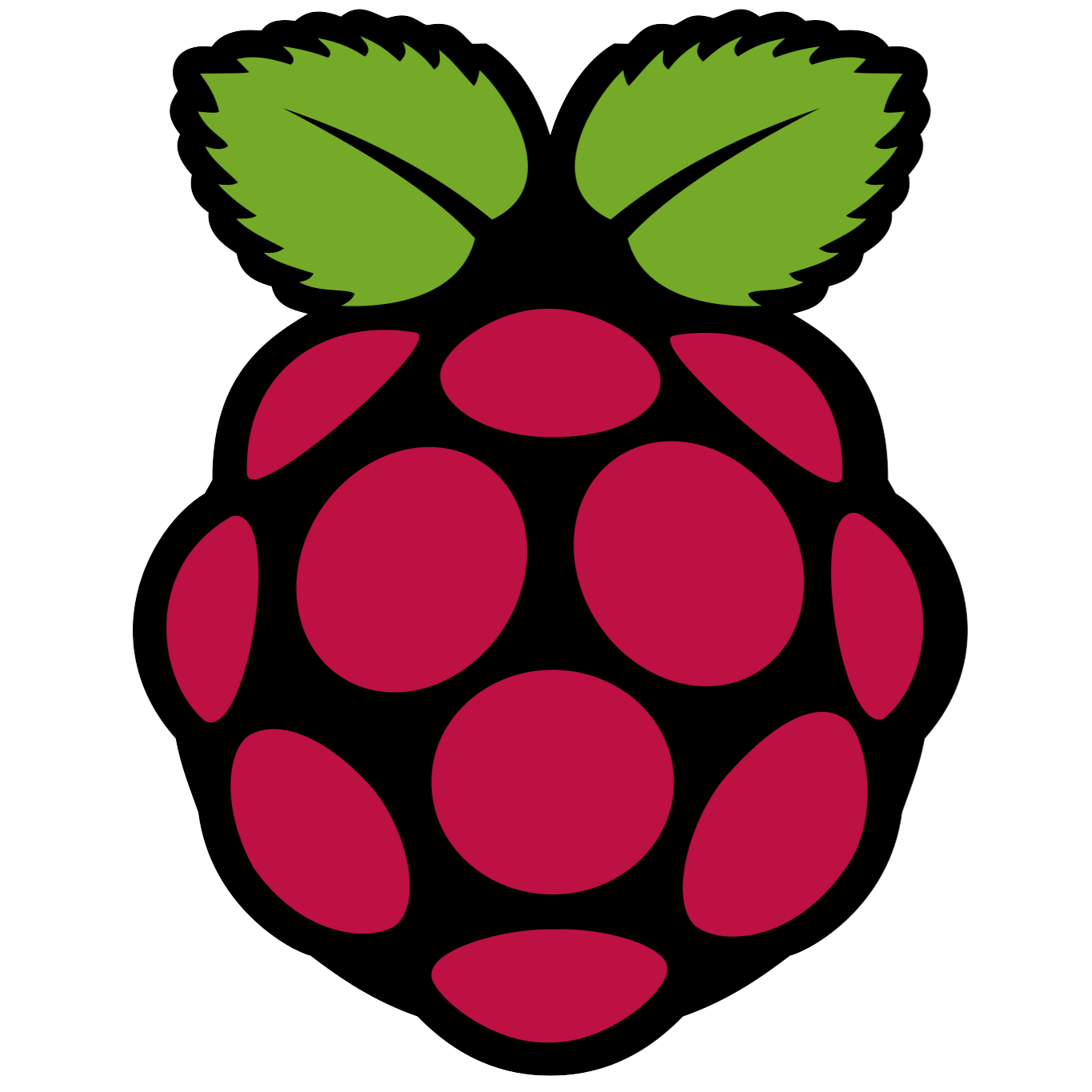 Raspberry Pi